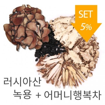 이미지 상세보기